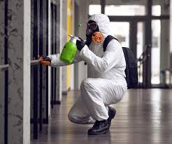 Why You Should Choose Our Mold Remediation Services in Ceresco, NE